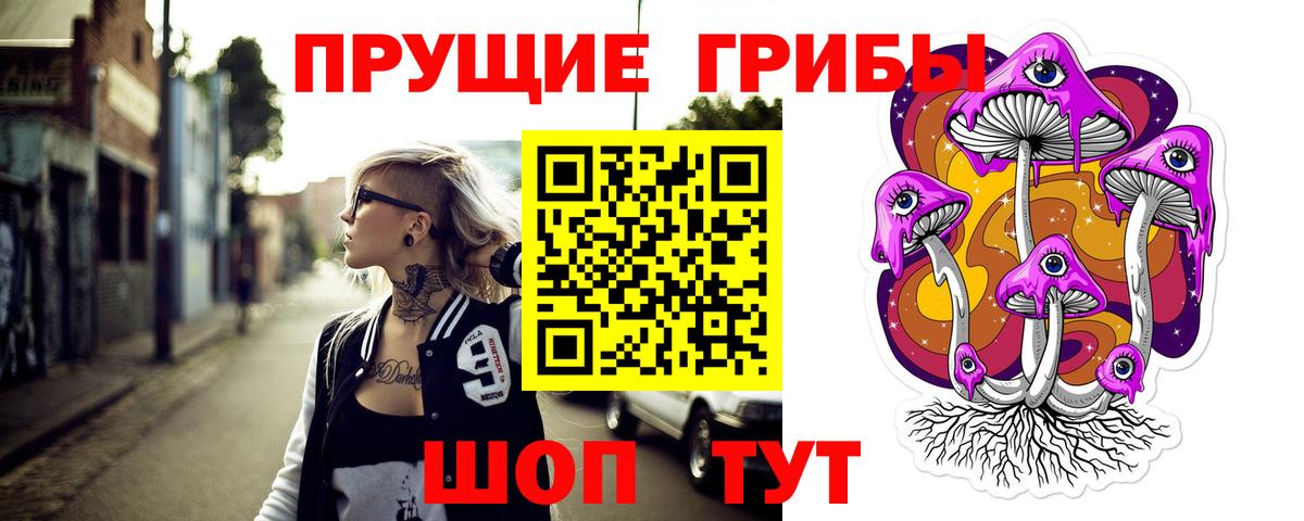 Галлюциногенные грибы Psilocybine cubensis  Галлюциногенные грибы прущие грибы  Курган  Вход с VPN 